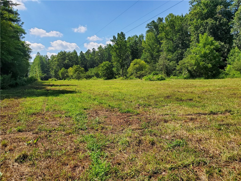 0 Butts Farm Road Westminster, SC 29693 - Photo 3 of 20 Gallery Image 3