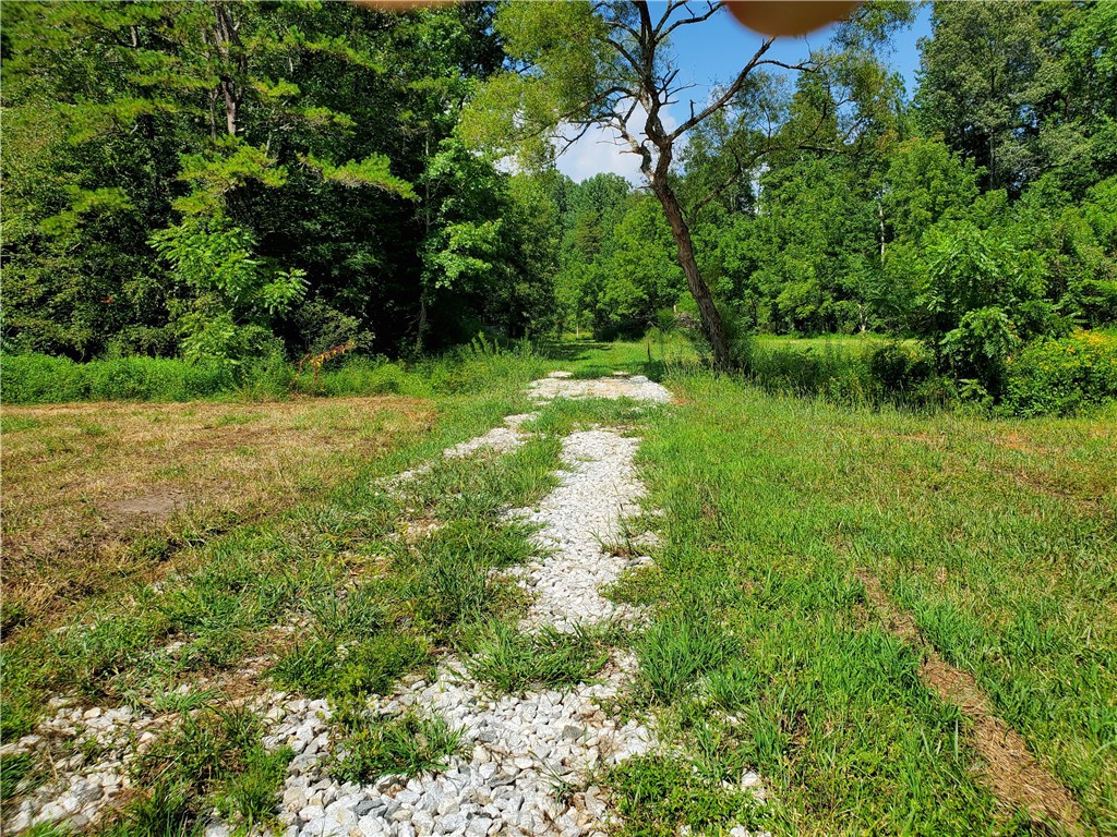 0 Butts Farm Road Westminster, SC 29693 - Photo 5 of 20 Gallery Image 5