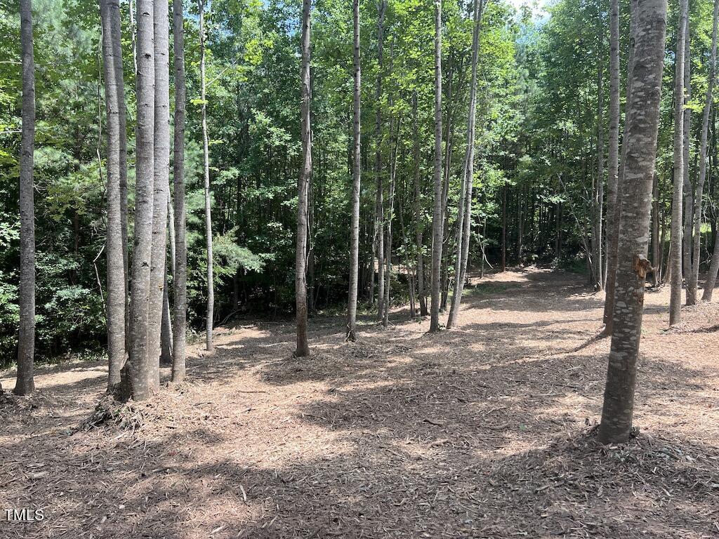 11 Peachtree Hills Road Spring Hope, NC 27882 - Photo 26 of 35 26