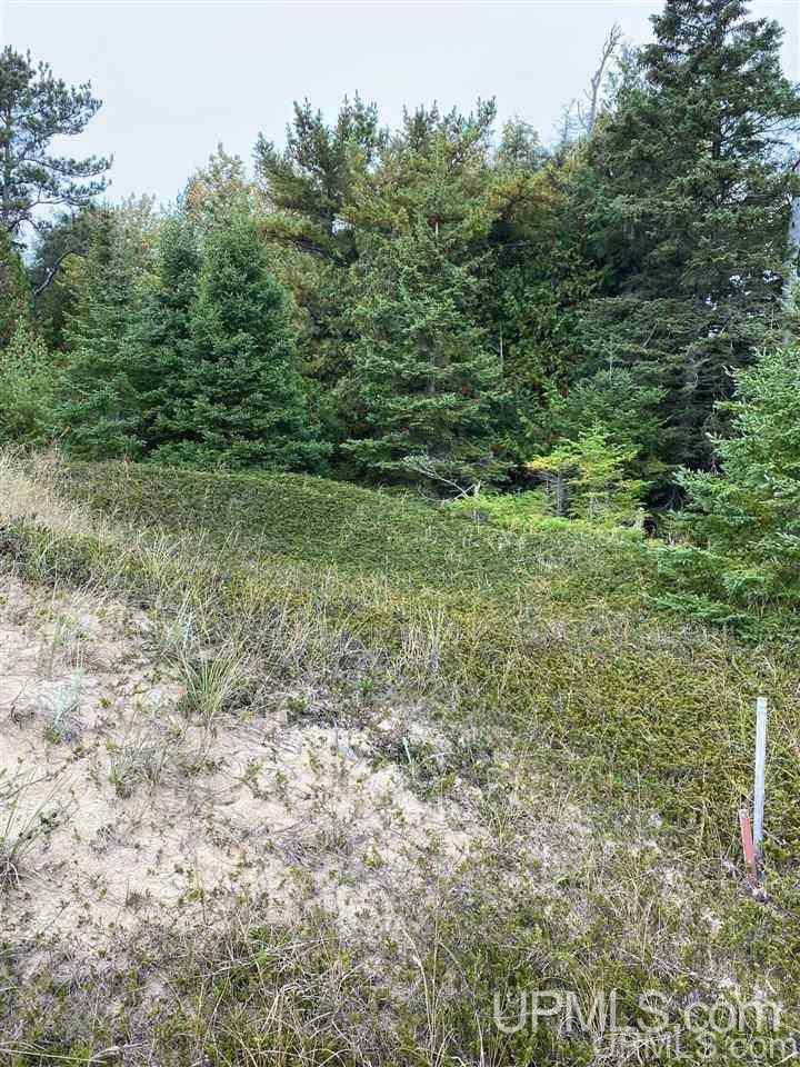 Tbd South Wiggins Point Trail Manistique, MI 49854 - Photo 17 of 18