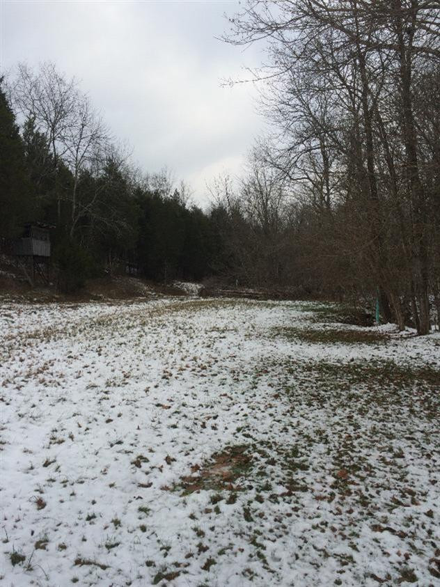 0 Keefer Lawrenceville Road Corinth, KY 41010 - Photo 14 of 29