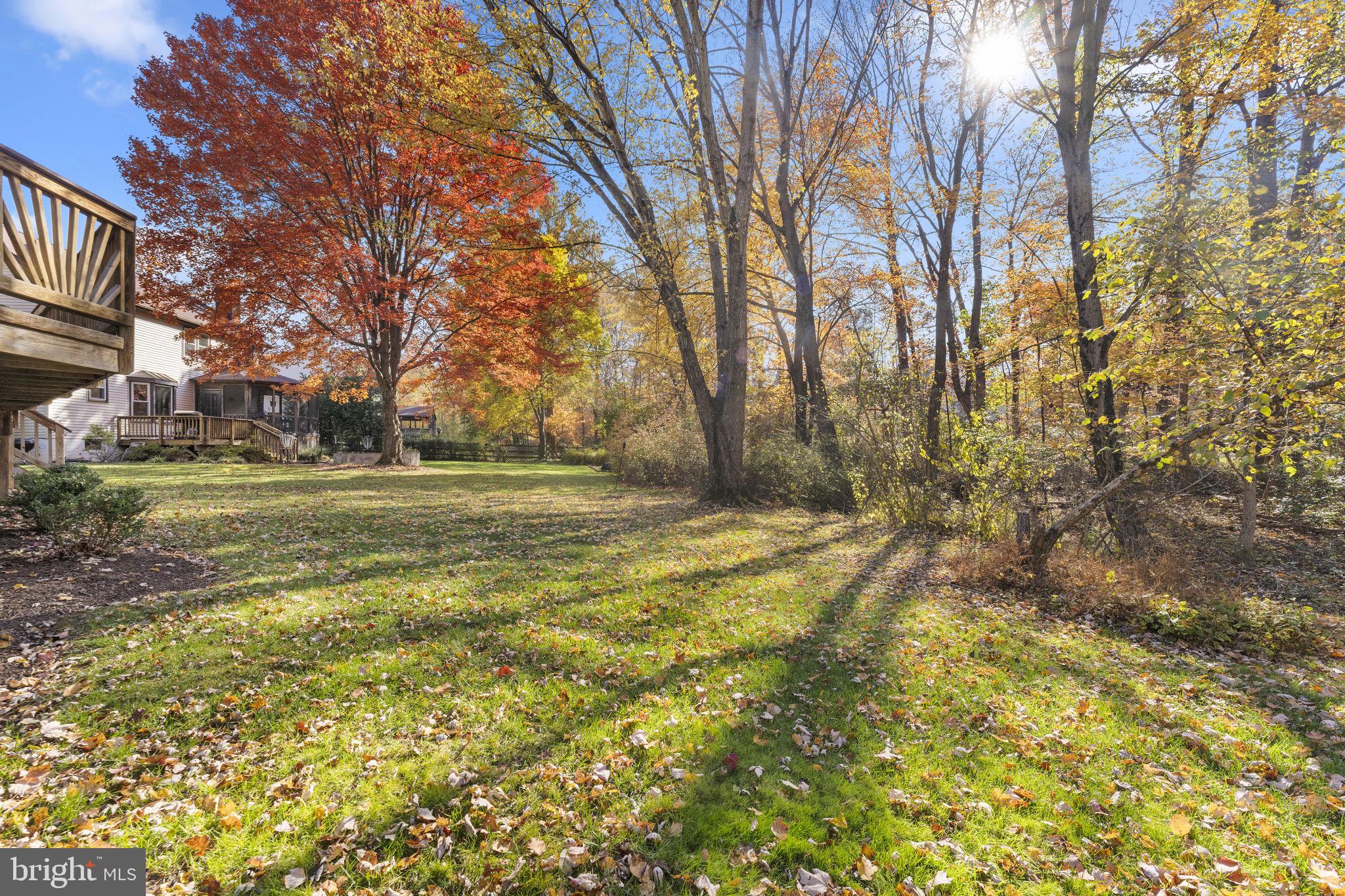 12574 Quincy Adams Court Herndon, VA 20171 - Photo 53 of 67 a view of a field with trees in the background