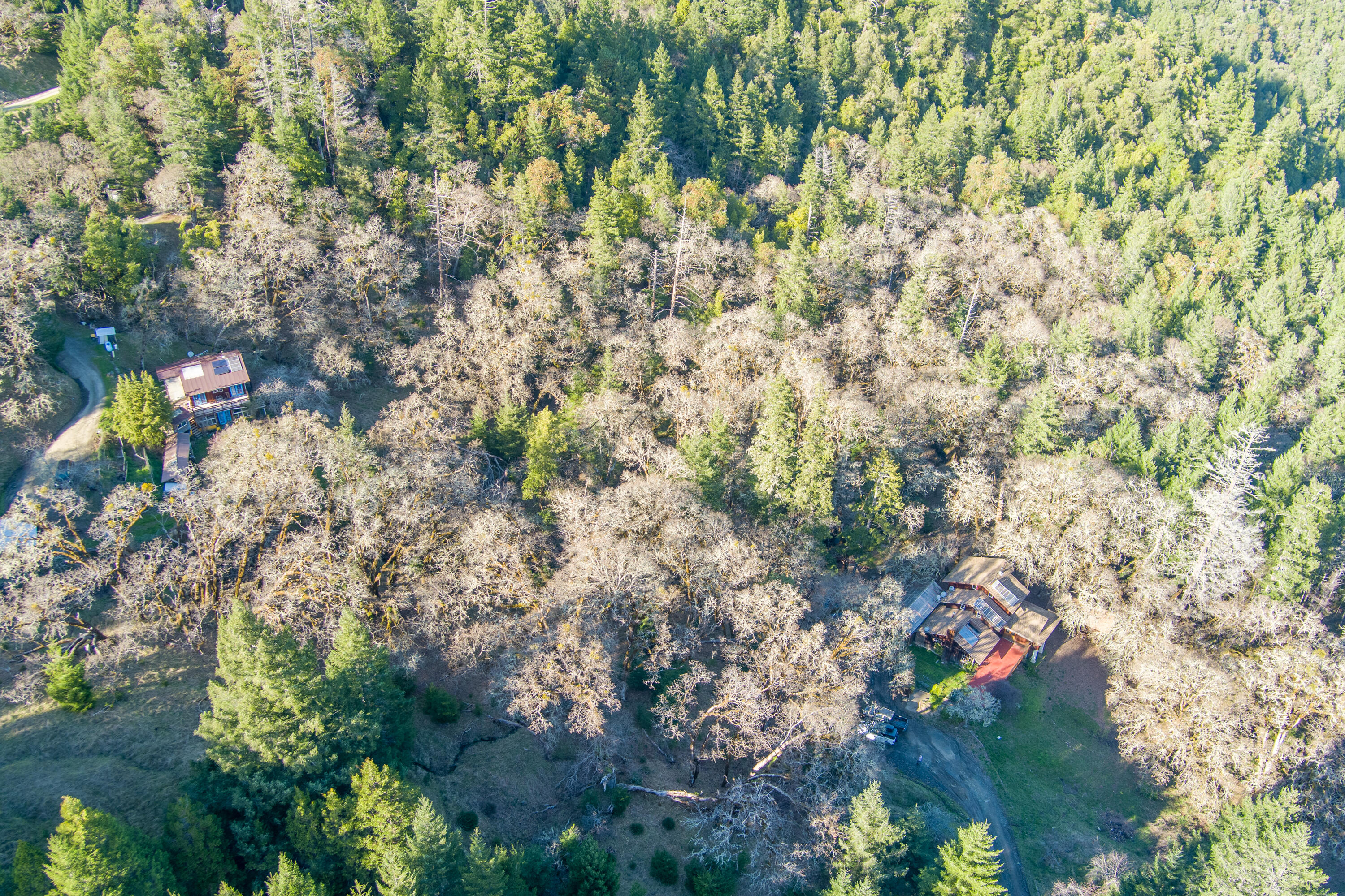 13 Perry Meadow Road Redway, CA 95560 - Photo 72 of 82 72-13 Perry Mdw-167