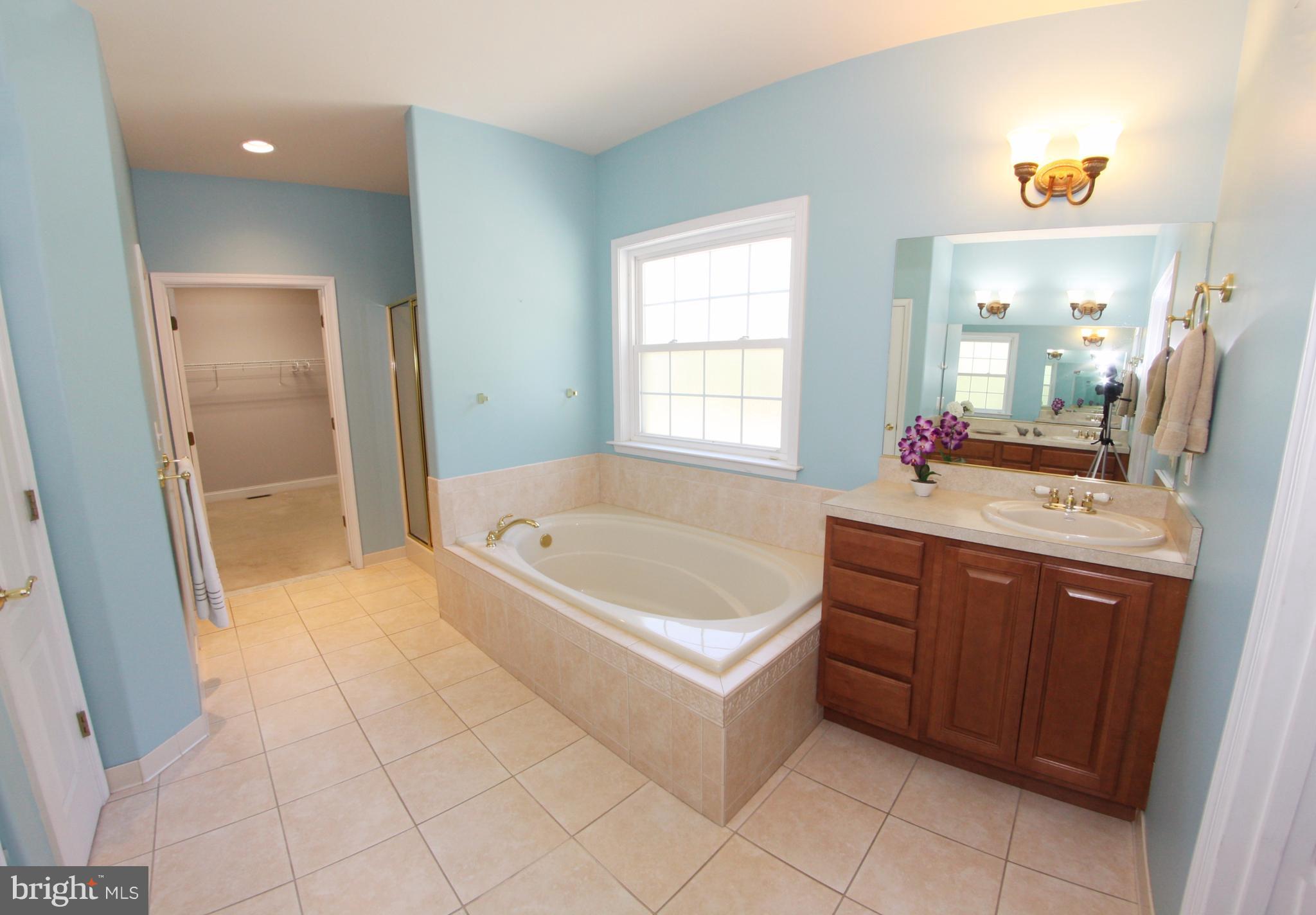 824 Andover Road Linthicum, MD 21090 - Photo 11 of 29 a spacious bathroom with a tub sink and mirror