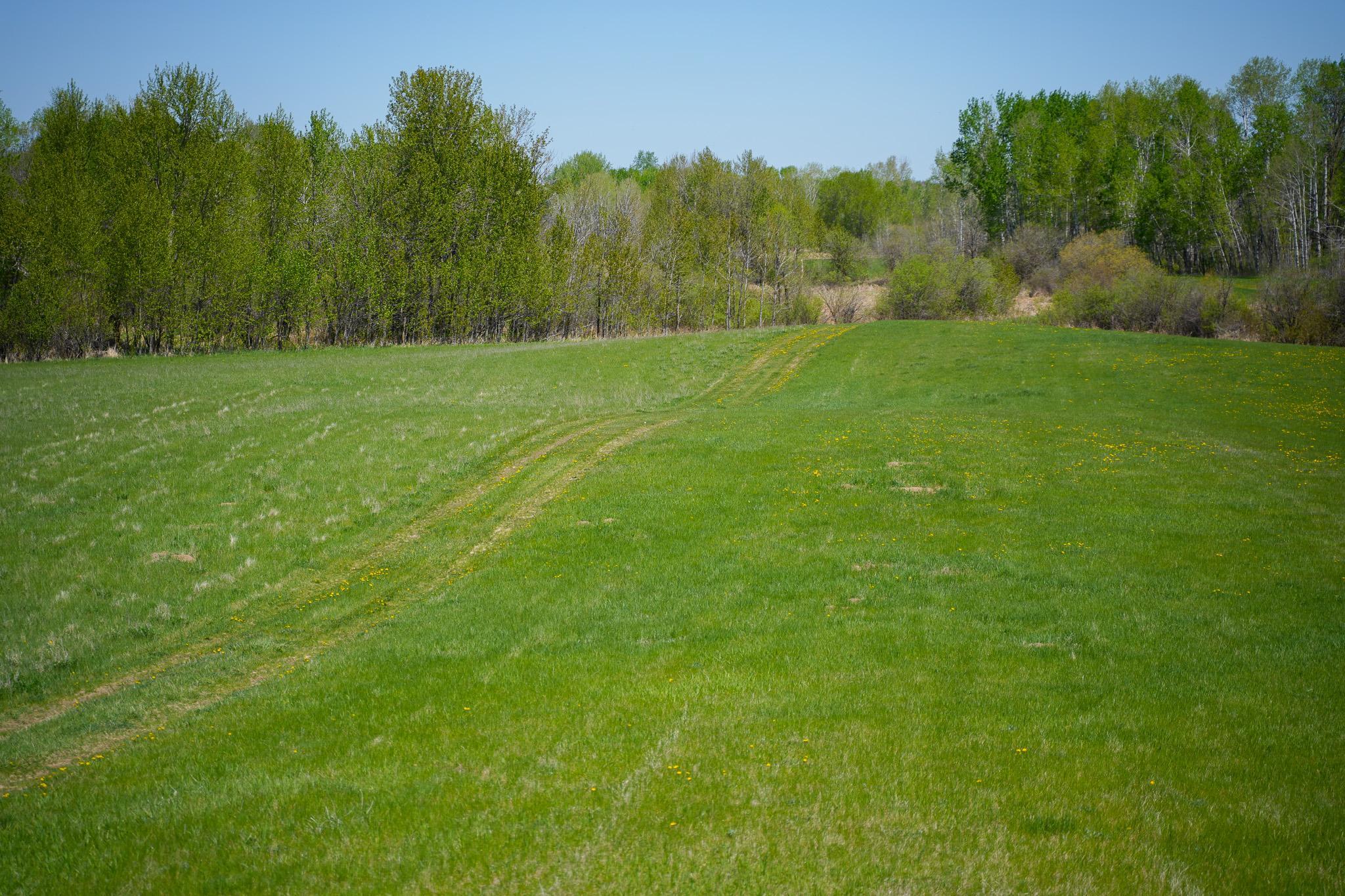 Tbd 140 Street Frazee, MN 56544 - Photo 61 of 149