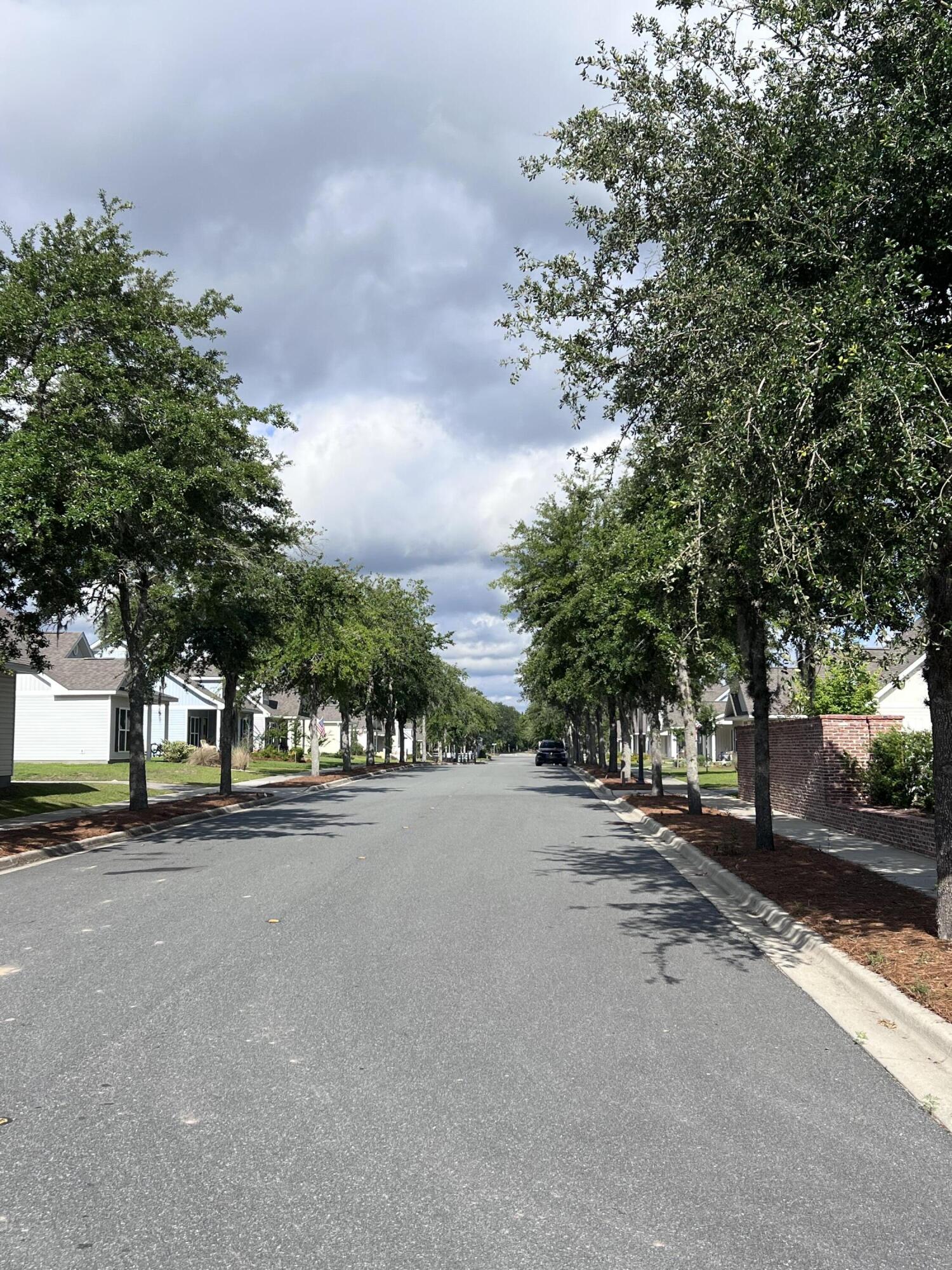 Lot 2 Parkside Street Freeport, FL 32439 - Photo 2 of 7 a row of palm trees in front of house
