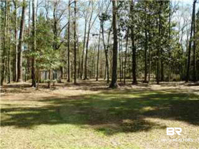 4639 Benson Road Mobile, AL 36619 - Photo 3 of 23