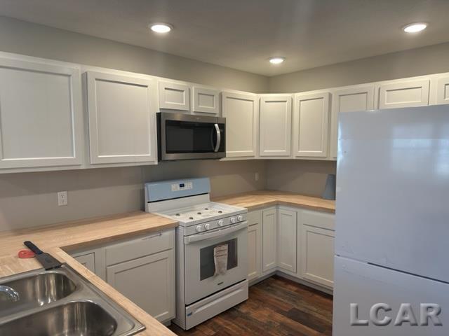 424 Spring Street Adrian, MI 49221 - Photo 3 of 5