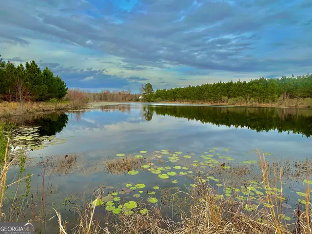 a view of a backyard with a garden