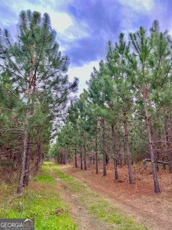 $680,000 | 668 10 Mile Road, Fitzgerald, GA 31750