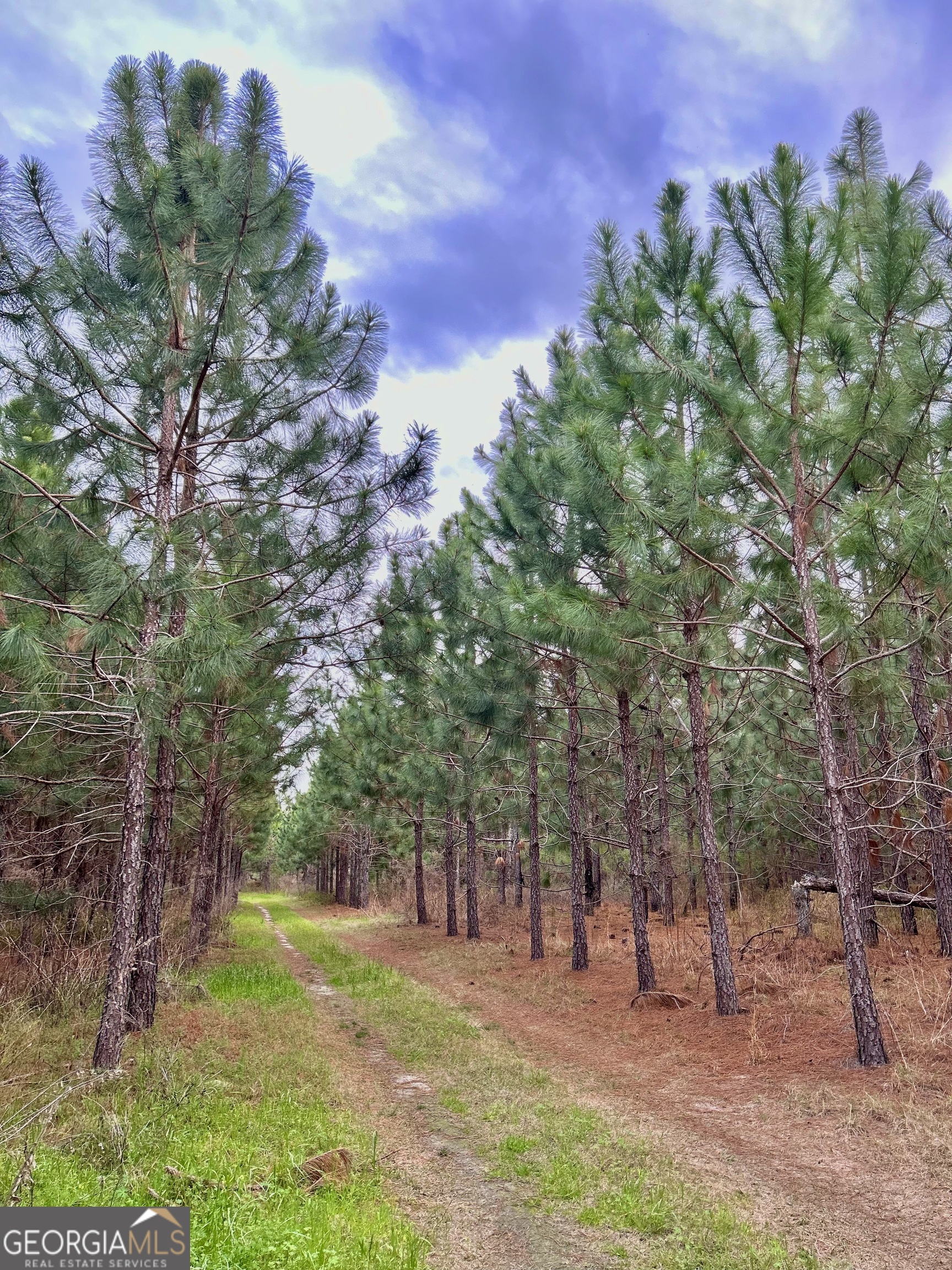 668 10 Mile Road Fitzgerald, GA 31750 - Photo 11 of 19 a backyard of a house with lots of green space