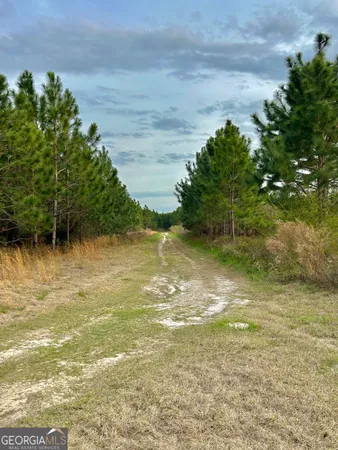 $680,000 | 668 10 Mile Road, Fitzgerald, GA 31750