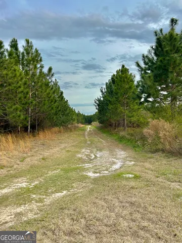 a backyard of a building with large trees
