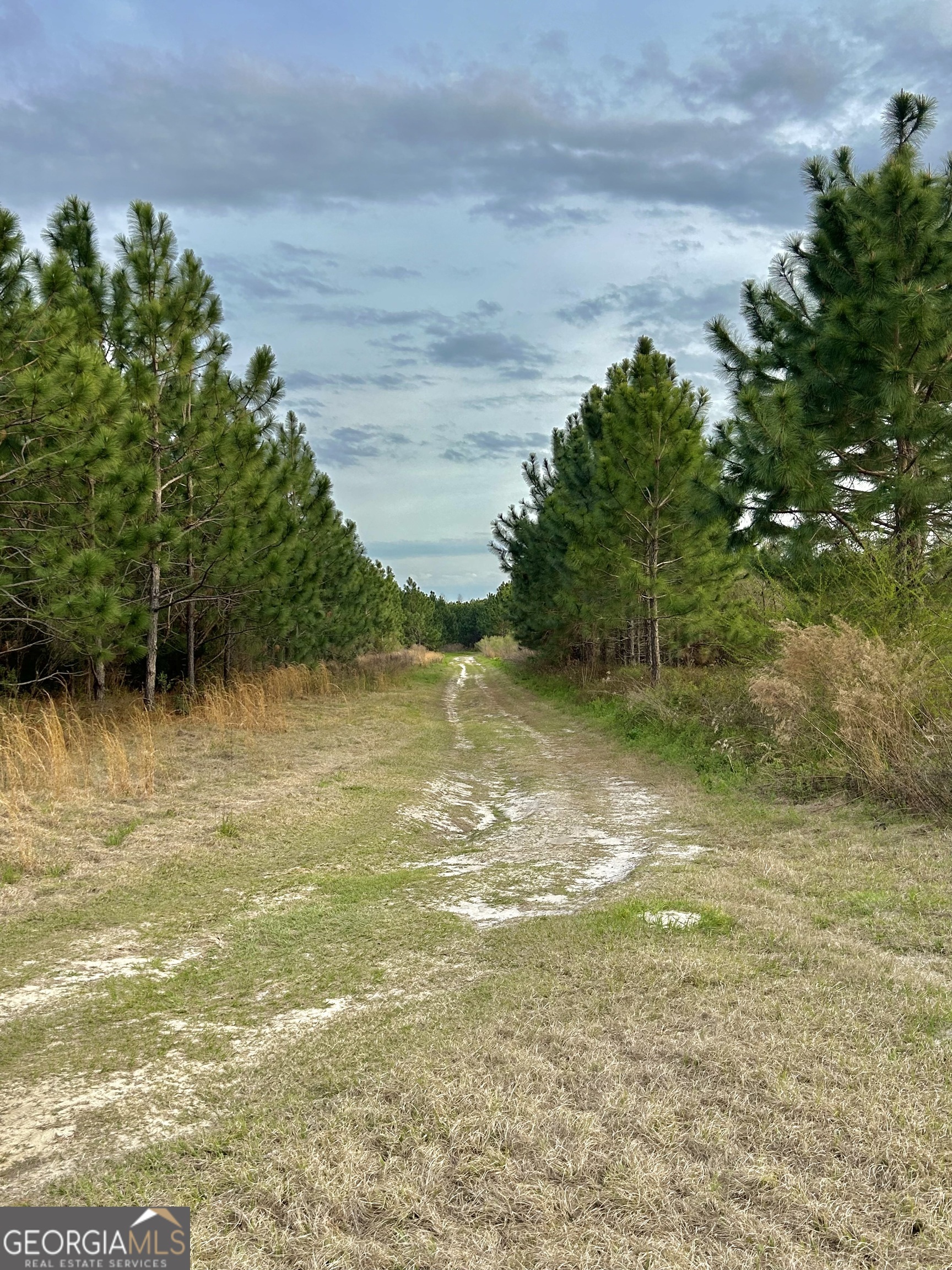 668 10 Mile Road Fitzgerald, GA 31750 - Photo 13 of 19