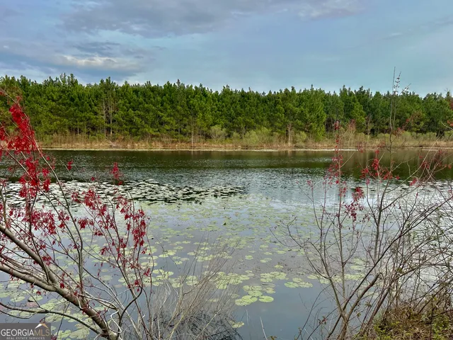 a view of lake with green space