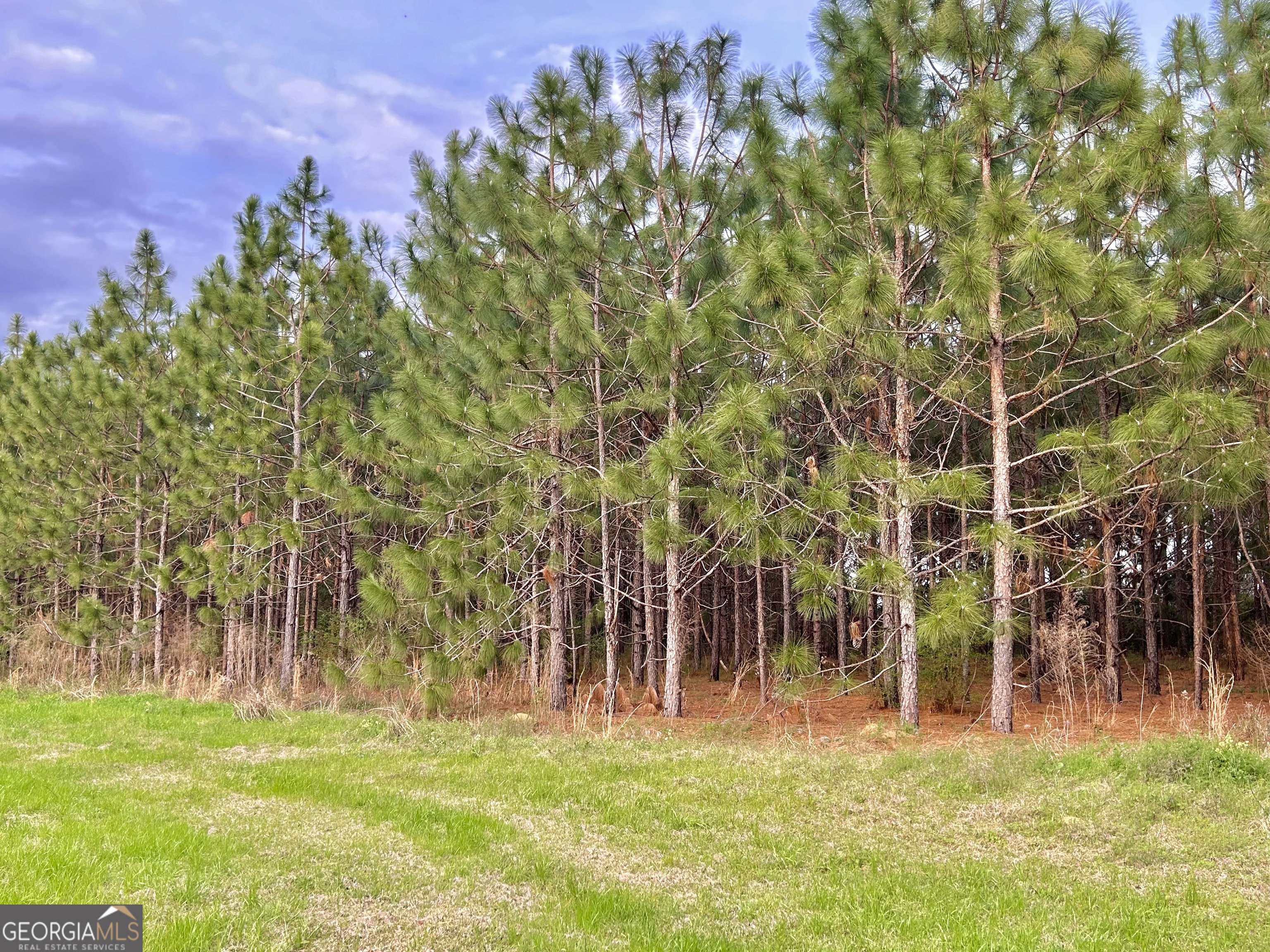668 10 Mile Road Fitzgerald, GA 31750 - Photo 15 of 19 a backyard of a building with large trees