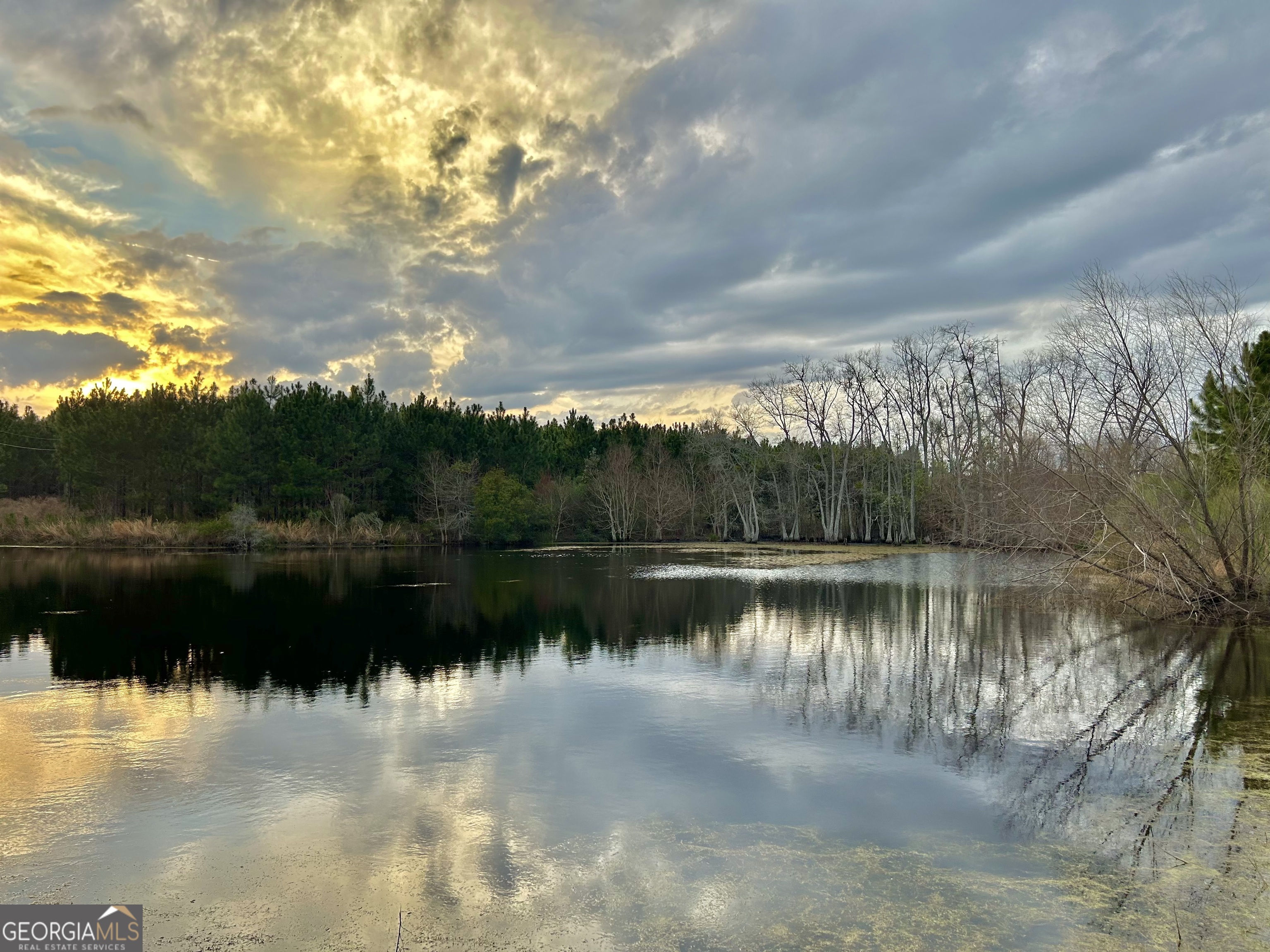 668 10 Mile Road Fitzgerald, GA 31750 - Photo 16 of 19 a view of lake with green space