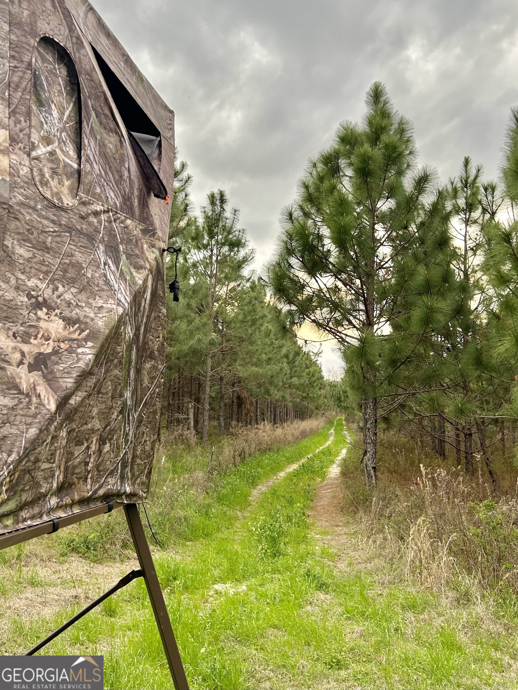 668 10 Mile Road Fitzgerald, GA 31750 - Photo 17 of 19 a view of a yard