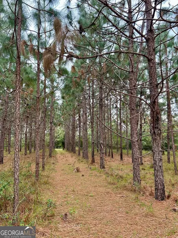 $680,000 | 668 10 Mile Road, Fitzgerald, GA 31750