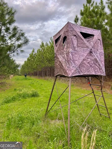 a view of a forest with trees