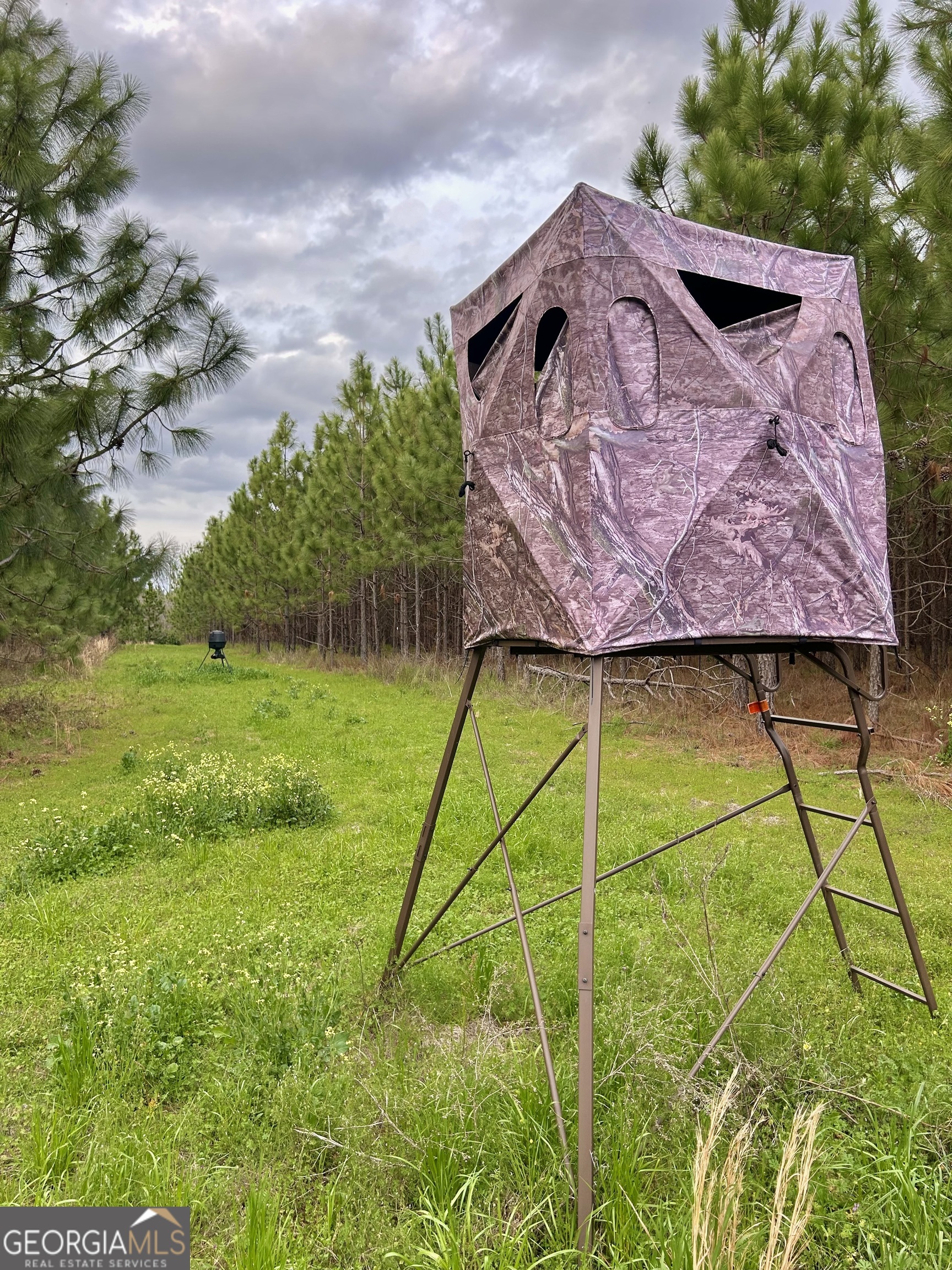 668 10 Mile Road Fitzgerald, GA 31750 - Photo 2 of 19 a view of a backyard with a garden