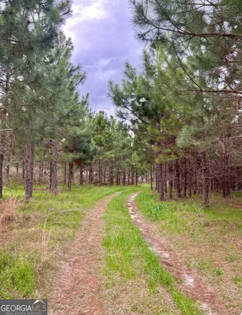 $680,000 | 668 10 Mile Road, Fitzgerald, GA 31750