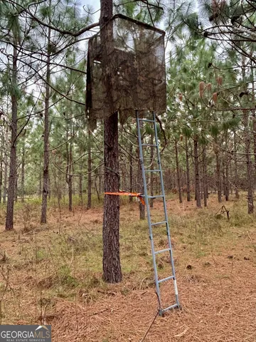 a view of a yard with porch