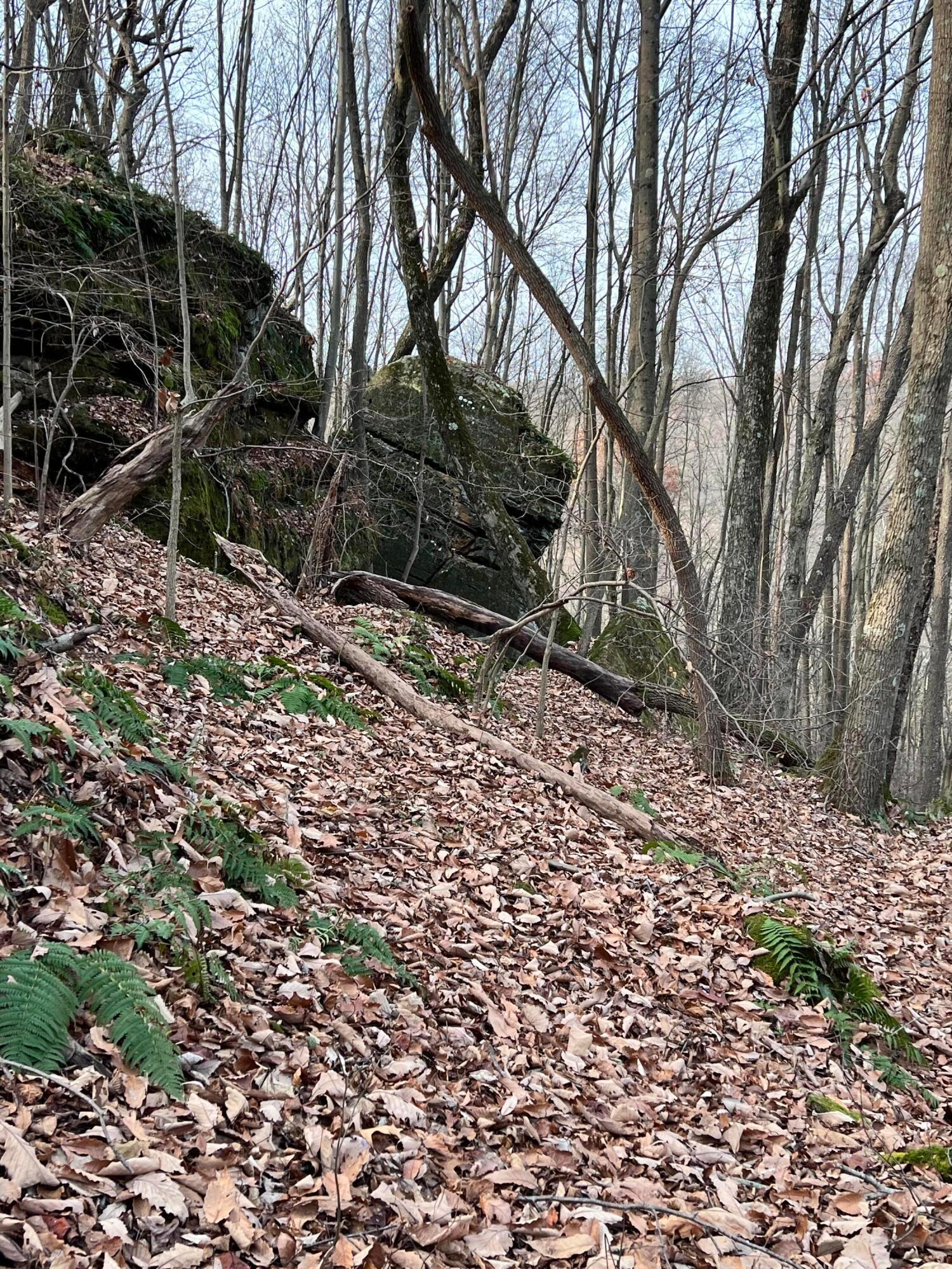 385 Blue Valley Road Southwest Lancaster, OH 43130 - Photo 79 of 87 Rock outcroppings