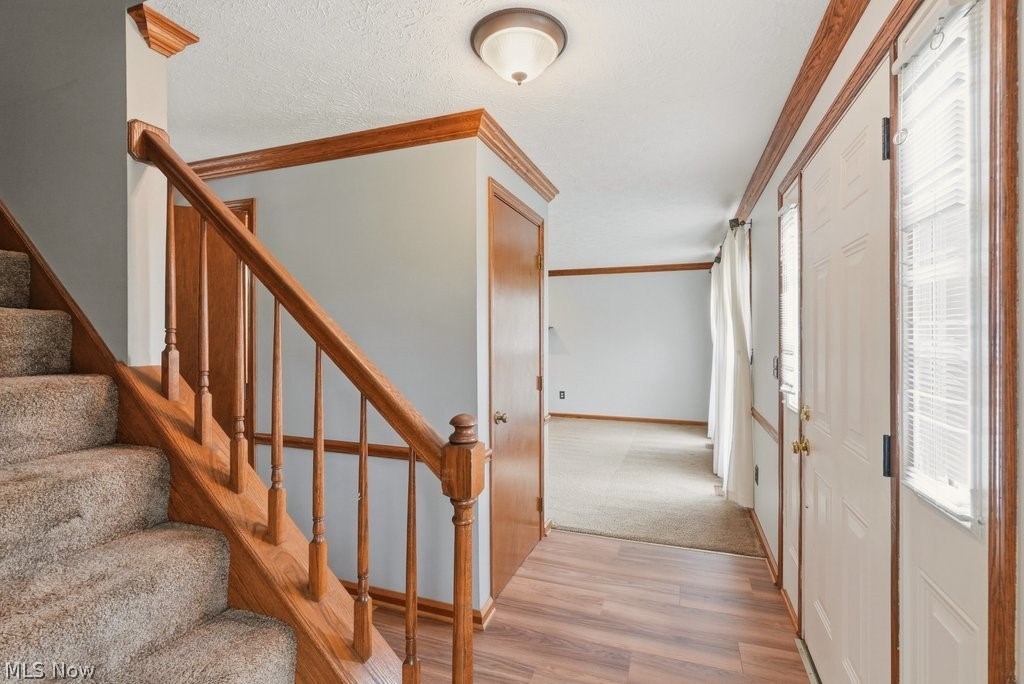 5321 Young Road Stow, OH 44224 - Photo 6 of 37 Entry foyer featuring wood-finish flooring, staircase with carpeted treads and wood railings, white panel doors, and overhead lighting