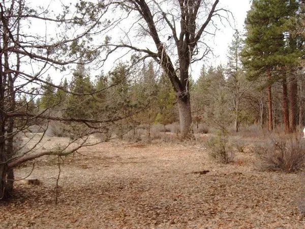 a view of mountain covered with trees