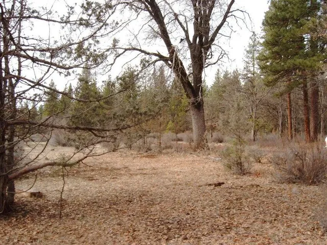 $40,000 | 0 Big Lake Road, McArthur, CA 96056