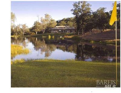 18300 Morgan Valley Road Lower Lake, CA 95457 - Photo 1 of 55 a view of a lake in a city