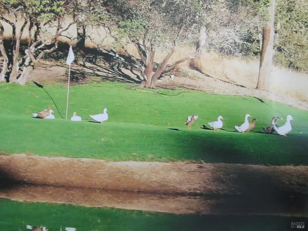 a view of a golf course with chairs