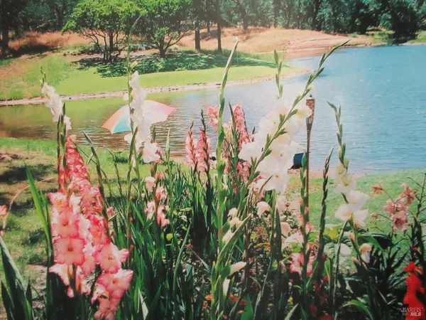 a backyard of a house with yard and lake view