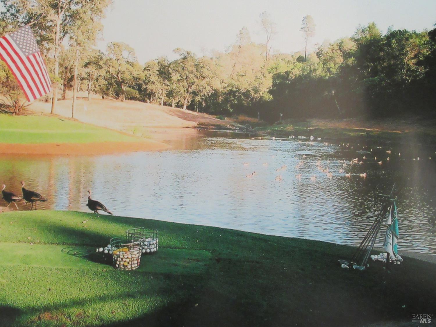 18300 Morgan Valley Road Lower Lake, CA 95457 - Photo 19 of 55 a view of a lake with a yard