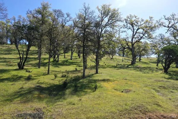 a view of a lush green hillside and a mountain view