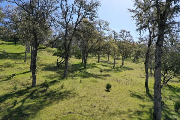 a view of a golf course