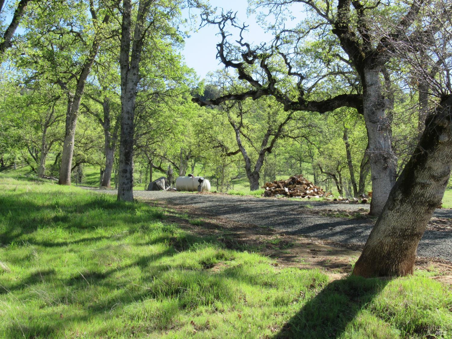 18300 Morgan Valley Road Lower Lake, CA 95457 - Photo 32 of 55 a view of a yard with plants and trees