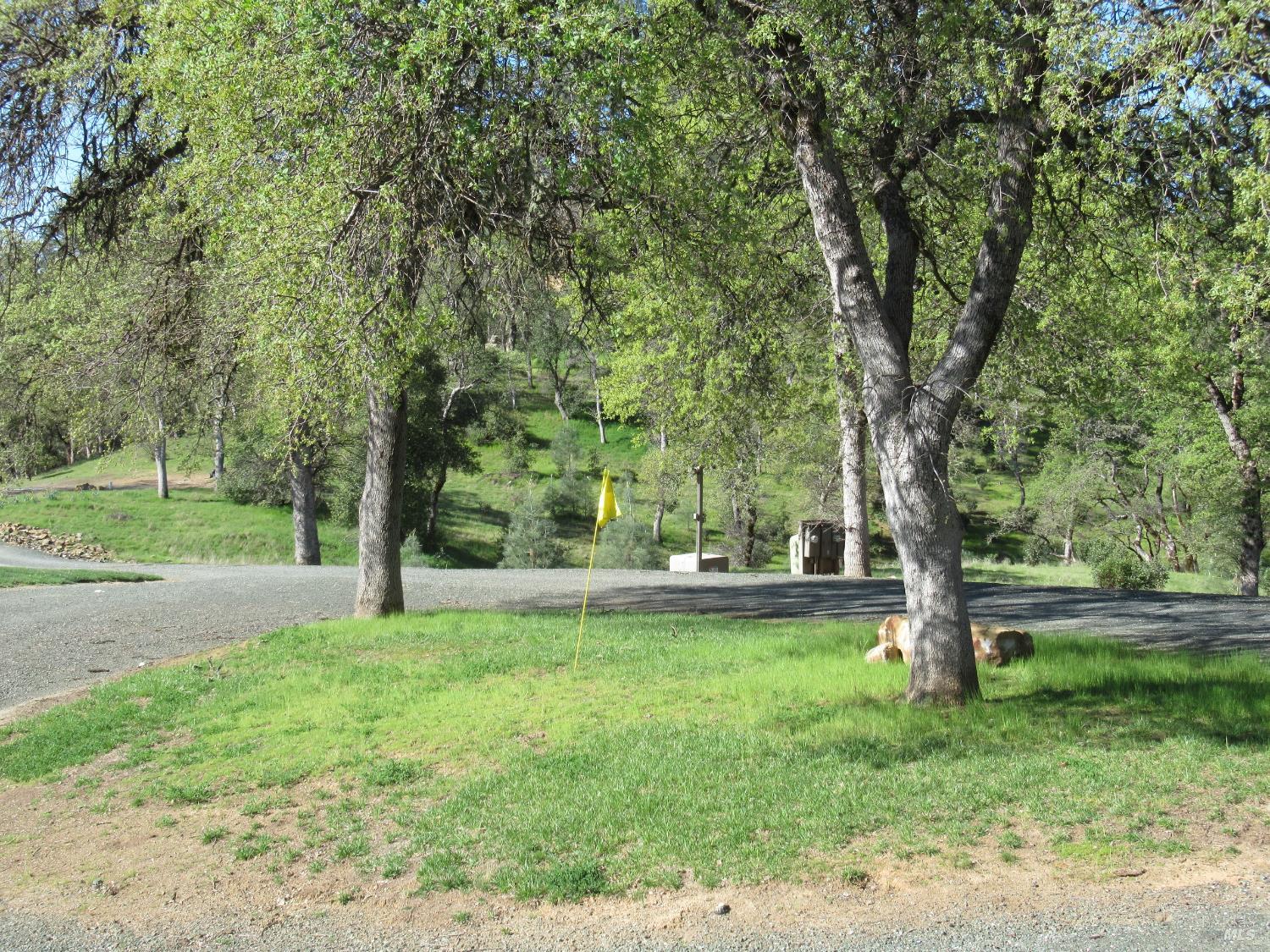 18300 Morgan Valley Road Lower Lake, CA 95457 - Photo 34 of 55 a view of a yard with a trees