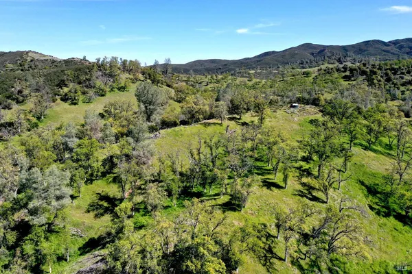 a view of yard with trees