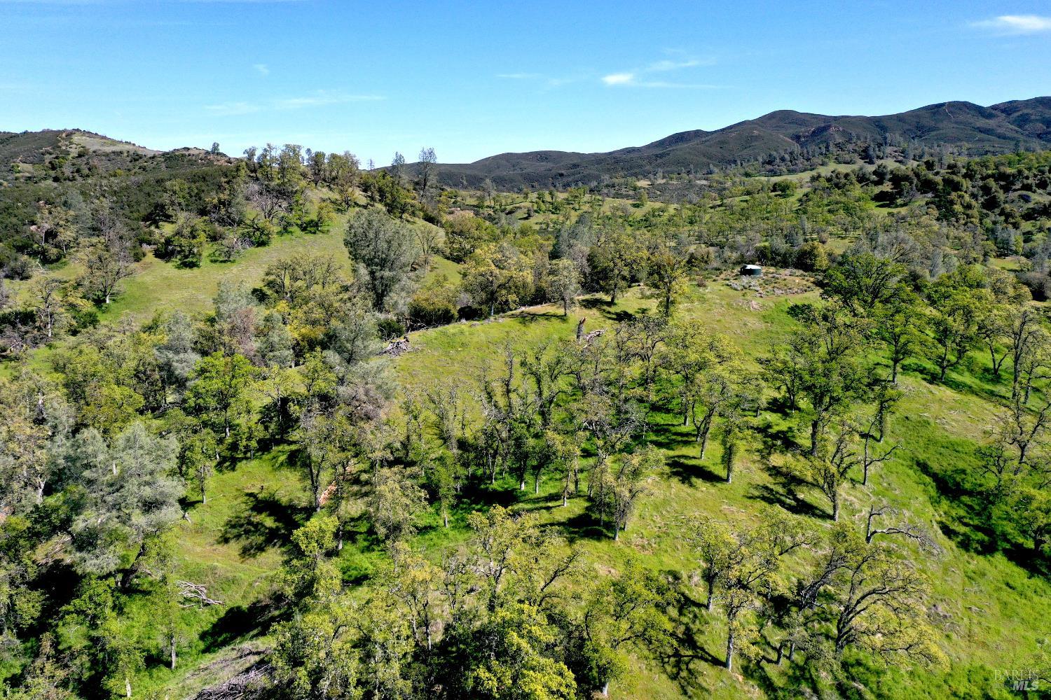 18300 Morgan Valley Road Lower Lake, CA 95457 - Photo 41 of 55 a view of a lush green forest with trees in the background
