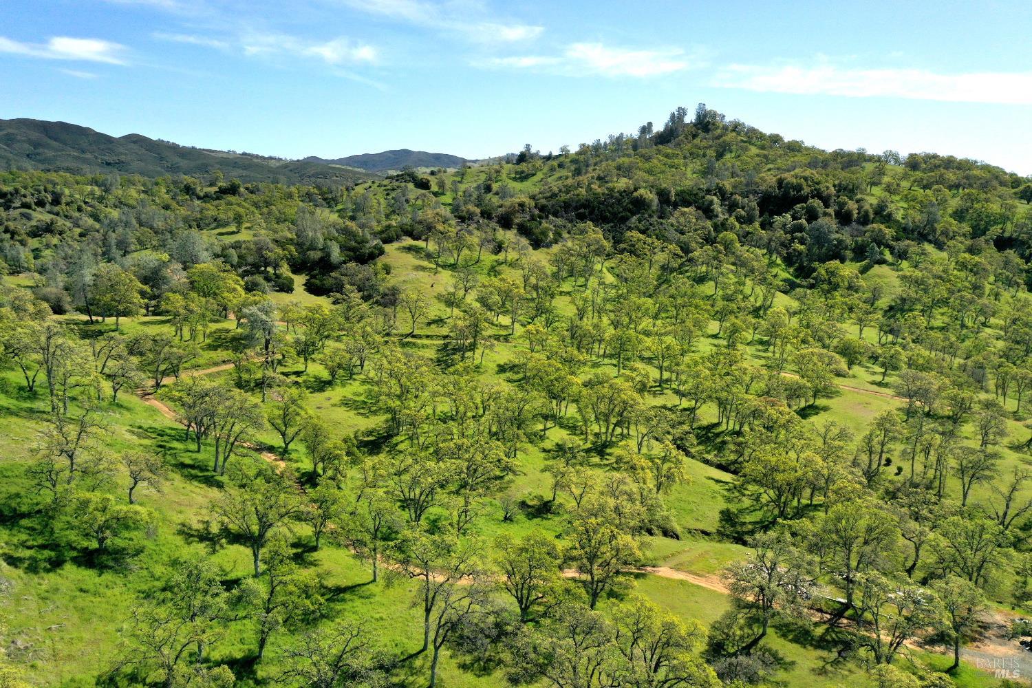 18300 Morgan Valley Road Lower Lake, CA 95457 - Photo 43 of 55 a view of a lush green forest with a mountain