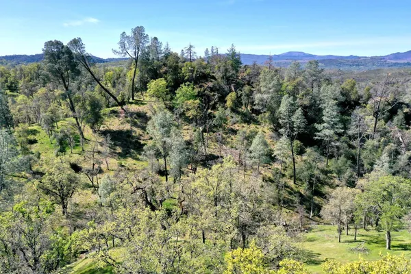 a view of a swimming pool with a bench and trees around