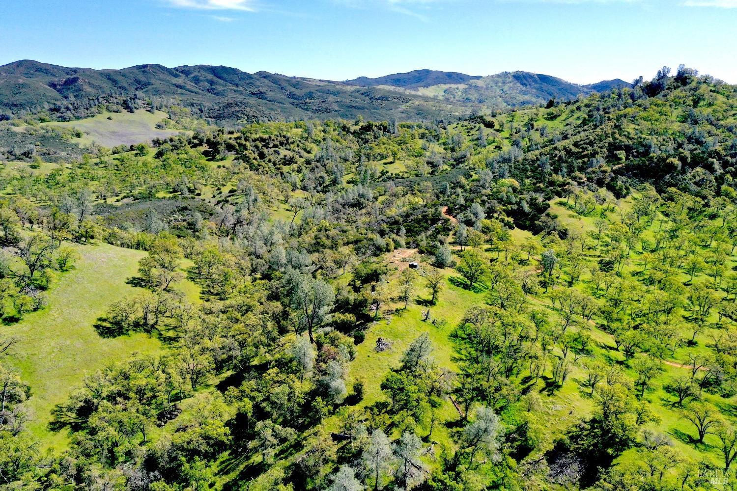 18300 Morgan Valley Road Lower Lake, CA 95457 - Photo 45 of 55 a view of a lush green field with a tree in the background