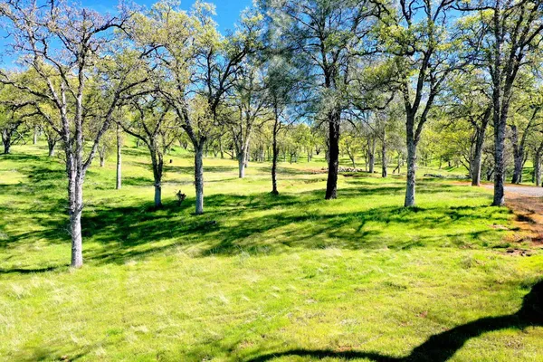 a kitchen with a sink and a refrigerator