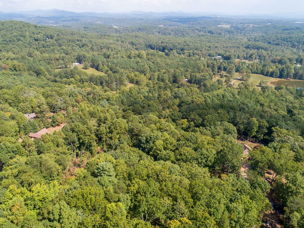 1003 Sun Rock Mountain Road Blue Ridge, GA 30513 - Photo 18 of 36 Gallery Image 18