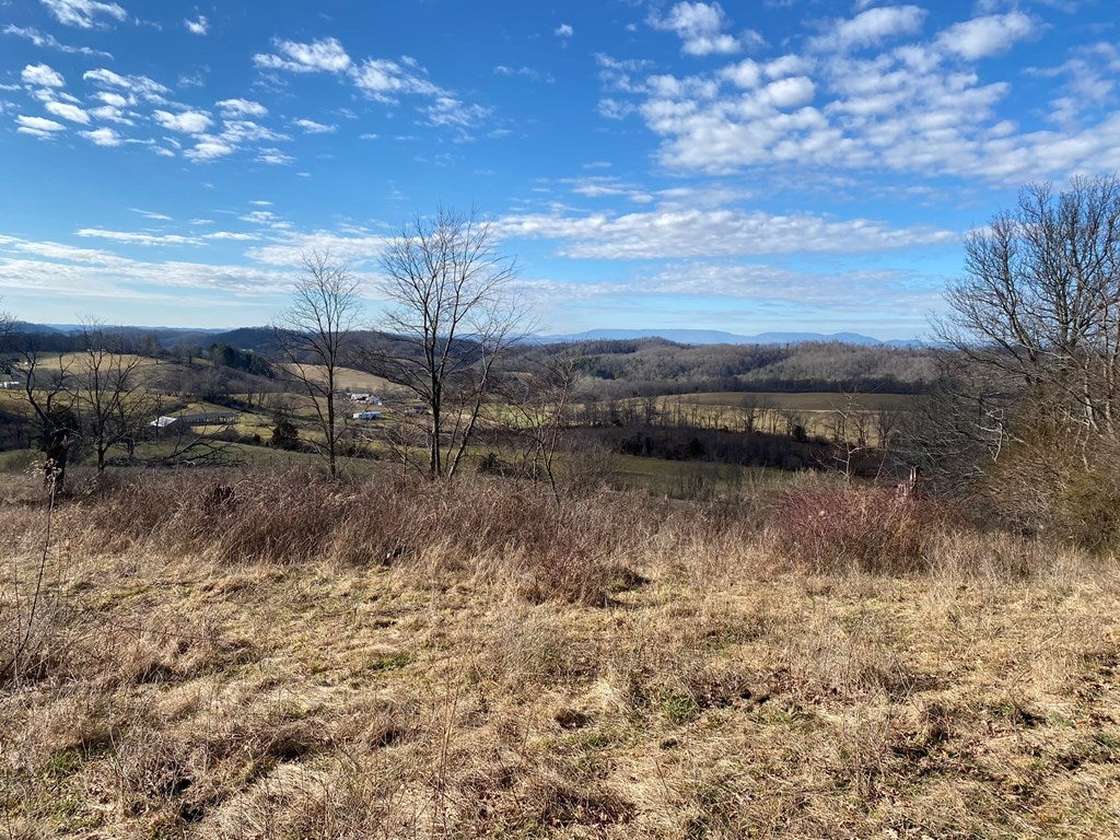 Tbd Widener Valley Road, Unit SEE REMARKS Glade Spring, VA 24340 - Photo 36 of 57 Gallery Image 36