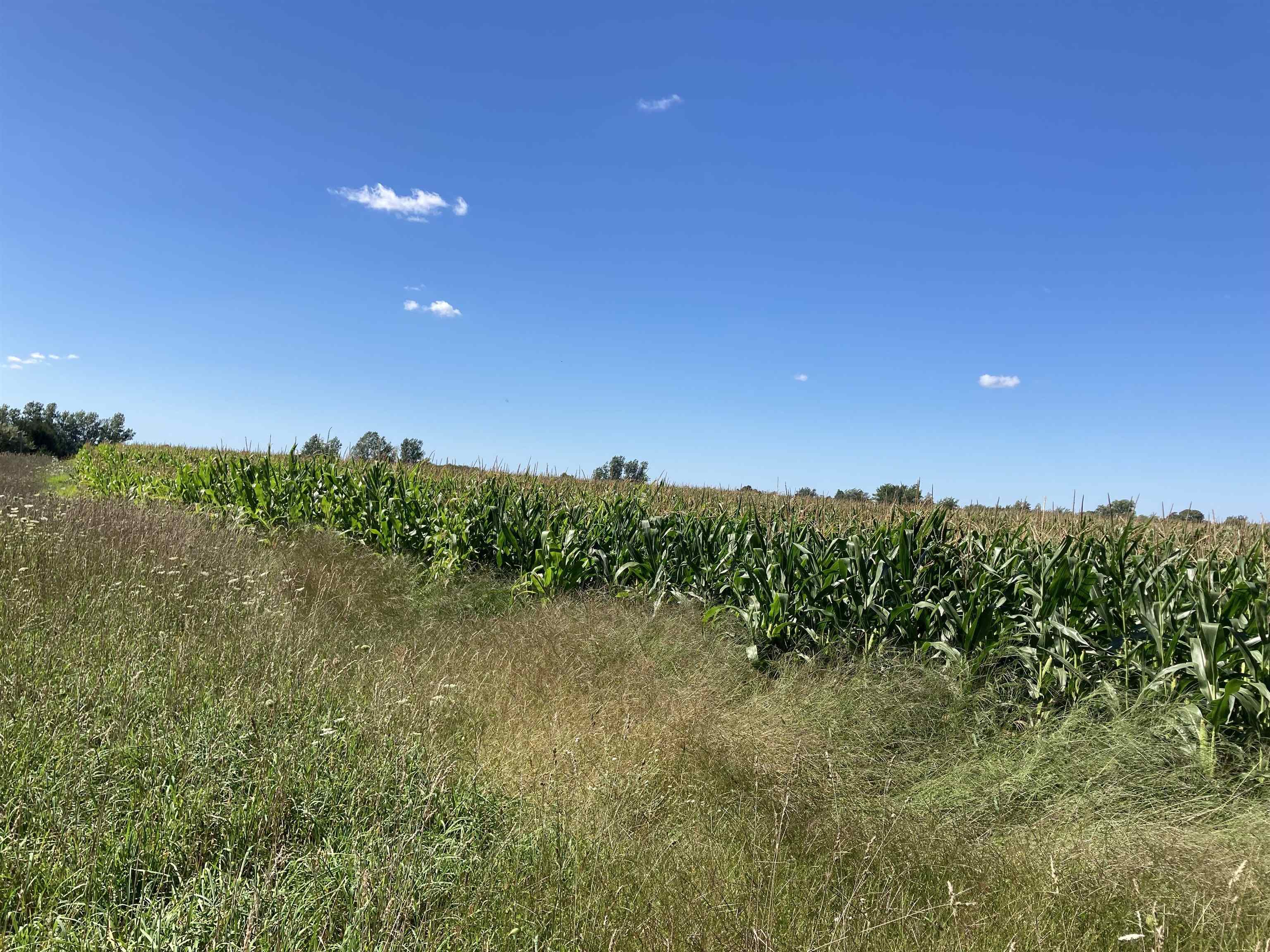 Vl East Vl E Sparling Road Kingsley, MI 49649 - Photo 11 of 12