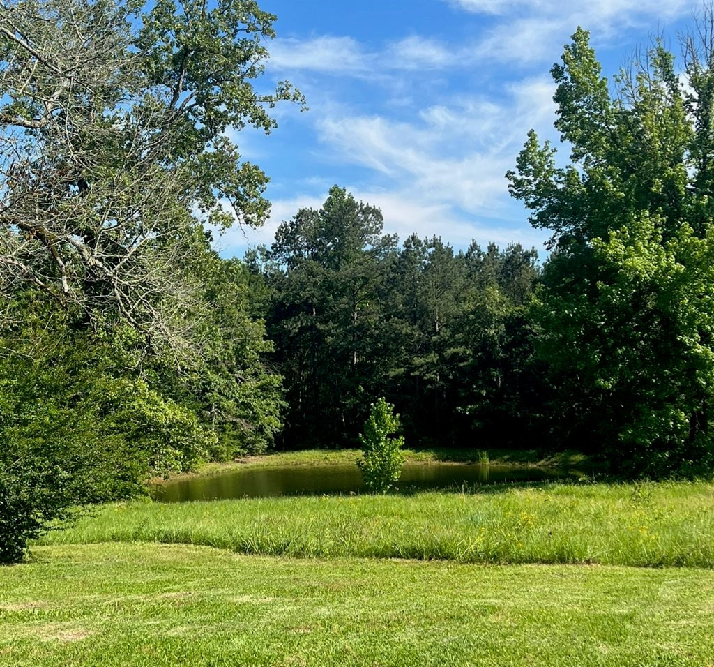 1057 Robert Scott Road McComb, MS 39648 - Photo 5 of 36 Photo 5