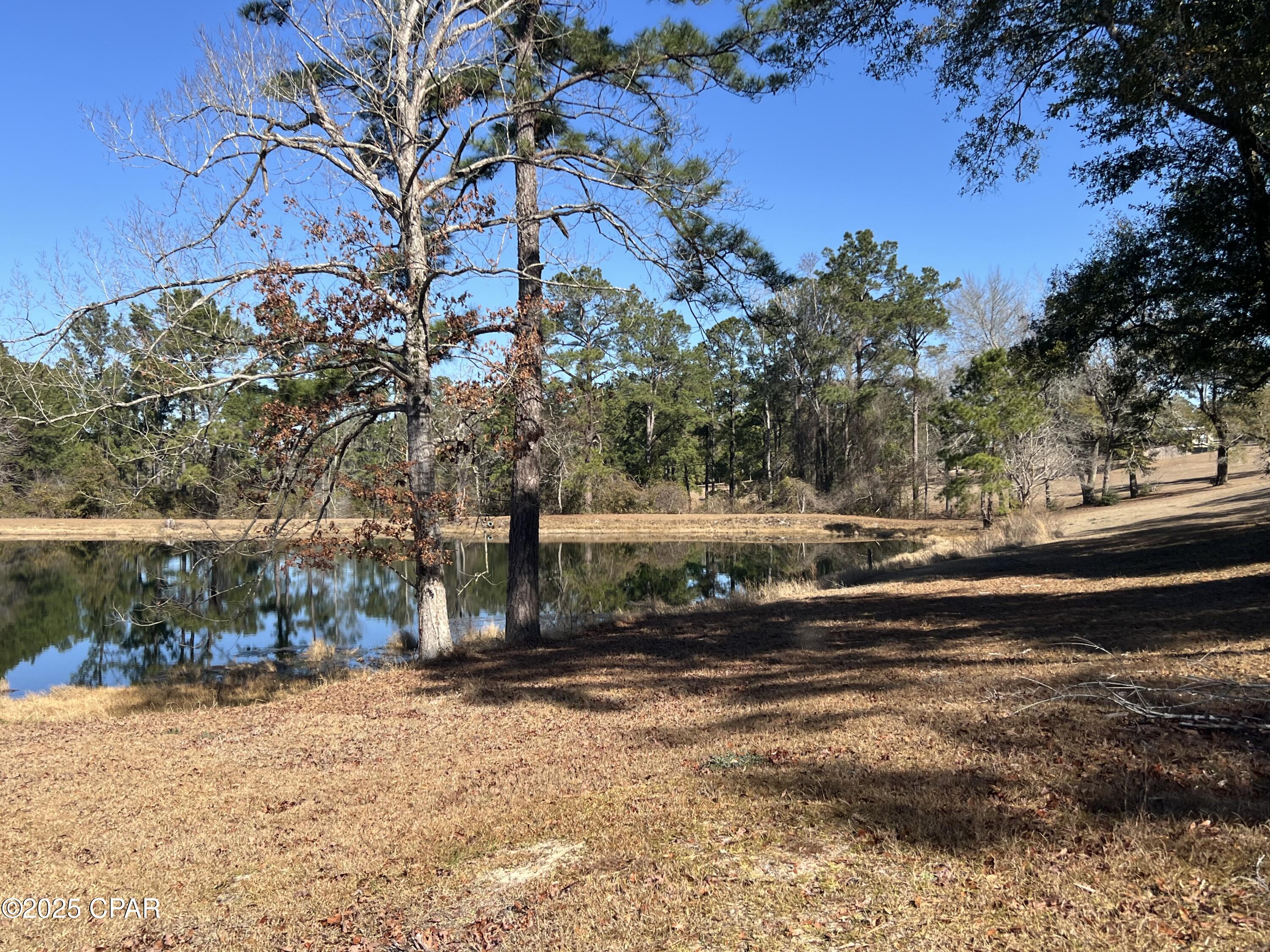 3258 Spring Lake Road Chipley, FL 32428 - Photo 3 of 7